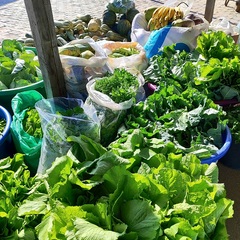 miniatura da galeria