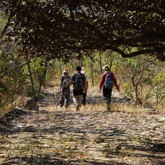 miniatura da galeria