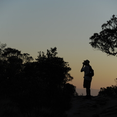 miniatura da galeria