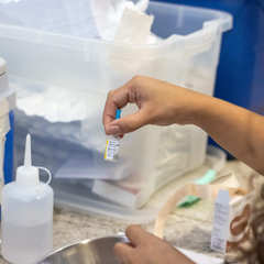 miniatura da galeria