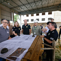 miniatura da galeria