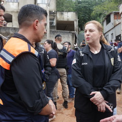 miniatura da galeria