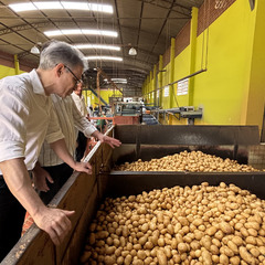 miniatura da galeria