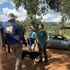 miniatura da galeria