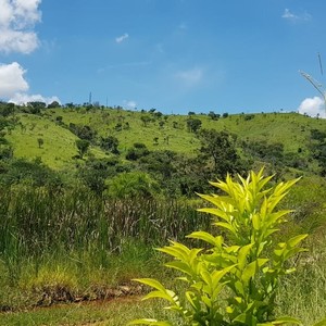 Iepha anuncia retomada de obras no circuito cultural e articulacao com outras regioes do estado 1.jpg.750x450 q85 crop smart upscale