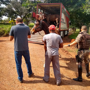 Iepha anuncia retomada de obras no circuito cultural e articulacao com outras regioes do estado 1.jpg.750x450 q85 crop smart upscale