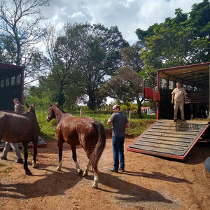 Iepha anuncia retomada de obras no circuito cultural e articulacao com outras regioes do estado 1.jpg.750x450 q85 crop smart upscale