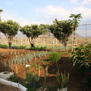 Iepha anuncia retomada de obras no circuito cultural e articulacao com outras regioes do estado 1.jpg.750x450 q85 crop smart upscale