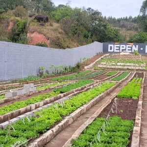 Iepha anuncia retomada de obras no circuito cultural e articulacao com outras regioes do estado 1.jpg.750x450 q85 crop smart upscale