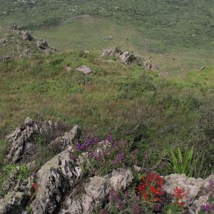 Iepha anuncia retomada de obras no circuito cultural e articulacao com outras regioes do estado 1.jpg.750x450 q85 crop smart upscale