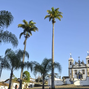 Iepha anuncia retomada de obras no circuito cultural e articulacao com outras regioes do estado 1.jpg.750x450 q85 crop smart upscale