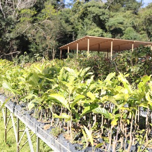 Iepha anuncia retomada de obras no circuito cultural e articulacao com outras regioes do estado 1.jpg.750x450 q85 crop smart upscale