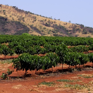 Iepha anuncia retomada de obras no circuito cultural e articulacao com outras regioes do estado 1.jpg.750x450 q85 crop smart upscale