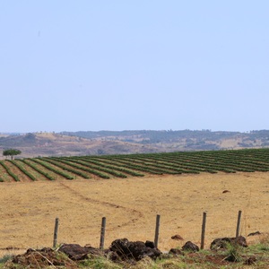 Iepha anuncia retomada de obras no circuito cultural e articulacao com outras regioes do estado 1.jpg.750x450 q85 crop smart upscale