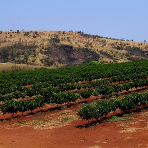 Iepha anuncia retomada de obras no circuito cultural e articulacao com outras regioes do estado 1.jpg.750x450 q85 crop smart upscale