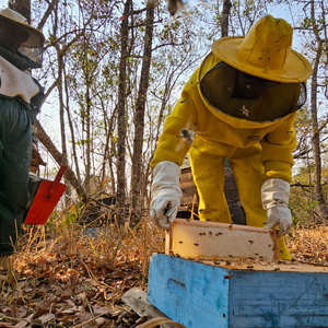 Iepha anuncia retomada de obras no circuito cultural e articulacao com outras regioes do estado 1.jpg.750x450 q85 crop smart upscale