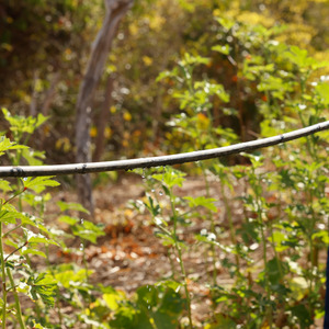 Iepha anuncia retomada de obras no circuito cultural e articulacao com outras regioes do estado 1.jpg.750x450 q85 crop smart upscale