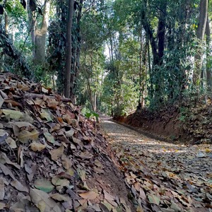 Iepha anuncia retomada de obras no circuito cultural e articulacao com outras regioes do estado 1.jpg.750x450 q85 crop smart upscale