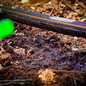 Iepha anuncia retomada de obras no circuito cultural e articulacao com outras regioes do estado 1.jpg.750x450 q85 crop smart upscale