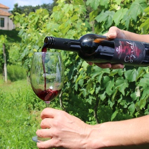 Iepha anuncia retomada de obras no circuito cultural e articulacao com outras regioes do estado 1.jpg.750x450 q85 crop smart upscale