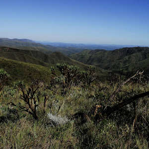 Iepha anuncia retomada de obras no circuito cultural e articulacao com outras regioes do estado 1.jpg.750x450 q85 crop smart upscale