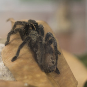 Iepha anuncia retomada de obras no circuito cultural e articulacao com outras regioes do estado 1.jpg.750x450 q85 crop smart upscale