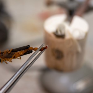 Iepha anuncia retomada de obras no circuito cultural e articulacao com outras regioes do estado 1.jpg.750x450 q85 crop smart upscale