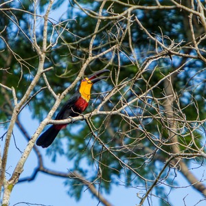 Iepha anuncia retomada de obras no circuito cultural e articulacao com outras regioes do estado 1.jpg.750x450 q85 crop smart upscale