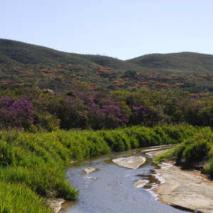 Iepha anuncia retomada de obras no circuito cultural e articulacao com outras regioes do estado 1.jpg.750x450 q85 crop smart upscale