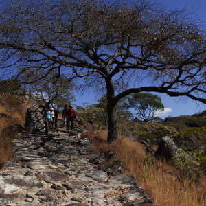 Iepha anuncia retomada de obras no circuito cultural e articulacao com outras regioes do estado 1.jpg.750x450 q85 crop smart upscale