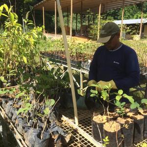 Iepha anuncia retomada de obras no circuito cultural e articulacao com outras regioes do estado 1.jpg.750x450 q85 crop smart upscale