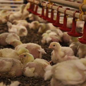 Iepha anuncia retomada de obras no circuito cultural e articulacao com outras regioes do estado 1.jpg.750x450 q85 crop smart upscale