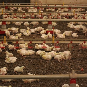 Iepha anuncia retomada de obras no circuito cultural e articulacao com outras regioes do estado 1.jpg.750x450 q85 crop smart upscale