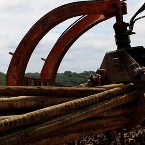 Iepha anuncia retomada de obras no circuito cultural e articulacao com outras regioes do estado 1.jpg.750x450 q85 crop smart upscale