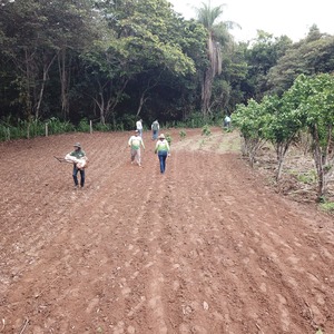 Iepha anuncia retomada de obras no circuito cultural e articulacao com outras regioes do estado 1.jpg.750x450 q85 crop smart upscale