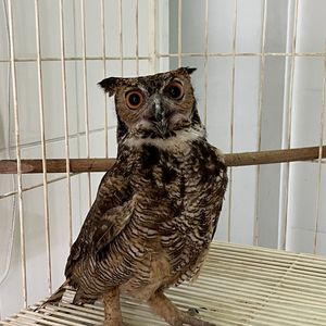 Iepha anuncia retomada de obras no circuito cultural e articulacao com outras regioes do estado 1.jpg.750x450 q85 crop smart upscale