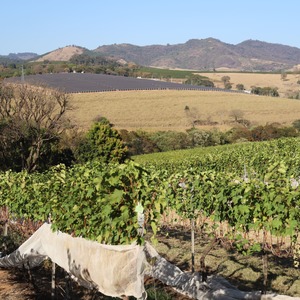 Iepha anuncia retomada de obras no circuito cultural e articulacao com outras regioes do estado 1.jpg.750x450 q85 crop smart upscale