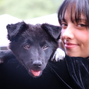 Iepha anuncia retomada de obras no circuito cultural e articulacao com outras regioes do estado 1.jpg.750x450 q85 crop smart upscale