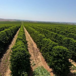 Iepha anuncia retomada de obras no circuito cultural e articulacao com outras regioes do estado 1.jpg.750x450 q85 crop smart upscale