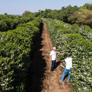 Iepha anuncia retomada de obras no circuito cultural e articulacao com outras regioes do estado 1.jpg.750x450 q85 crop smart upscale
