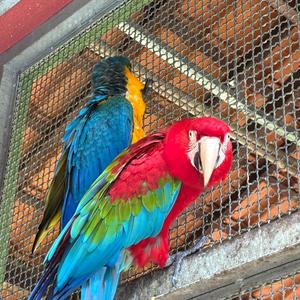 Iepha anuncia retomada de obras no circuito cultural e articulacao com outras regioes do estado 1.jpg.750x450 q85 crop smart upscale