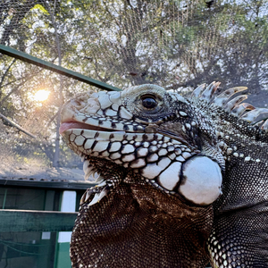 Iepha anuncia retomada de obras no circuito cultural e articulacao com outras regioes do estado 1.jpg.750x450 q85 crop smart upscale