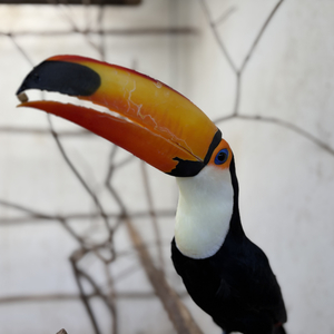 Iepha anuncia retomada de obras no circuito cultural e articulacao com outras regioes do estado 1.jpg.750x450 q85 crop smart upscale