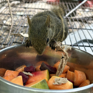 Iepha anuncia retomada de obras no circuito cultural e articulacao com outras regioes do estado 1.jpg.750x450 q85 crop smart upscale