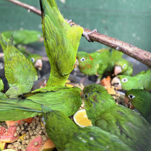 Iepha anuncia retomada de obras no circuito cultural e articulacao com outras regioes do estado 1.jpg.750x450 q85 crop smart upscale
