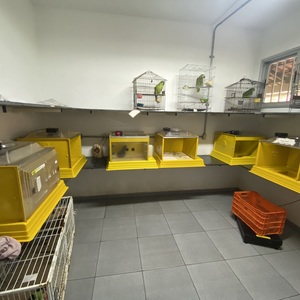 Iepha anuncia retomada de obras no circuito cultural e articulacao com outras regioes do estado 1.jpg.750x450 q85 crop smart upscale