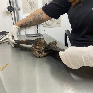 Iepha anuncia retomada de obras no circuito cultural e articulacao com outras regioes do estado 1.jpg.750x450 q85 crop smart upscale