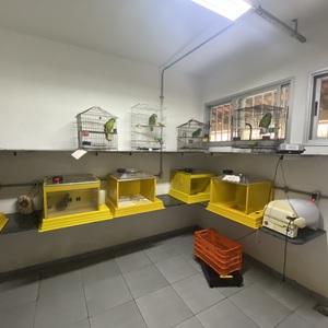 Iepha anuncia retomada de obras no circuito cultural e articulacao com outras regioes do estado 1.jpg.750x450 q85 crop smart upscale