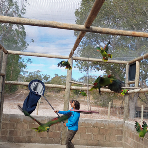 Iepha anuncia retomada de obras no circuito cultural e articulacao com outras regioes do estado 1.jpg.750x450 q85 crop smart upscale