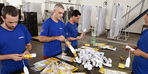 Unveil 8a21a6f614db065bb1ca2c21a5c803aede783f93e5277febbd47f37d9dbae4ca